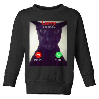 Evil Larry Cat Meme Cat Lover Cat Mom Cat Dad S Toddler Sweatshirt