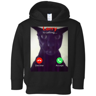 Evil Larry Cat Meme Cat Lover Cat Mom Cat Dad S Toddler Hoodie