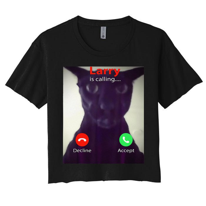 Evil Larry Cat Meme Cat Lover Cat Mom Cat Dad S Crop Top