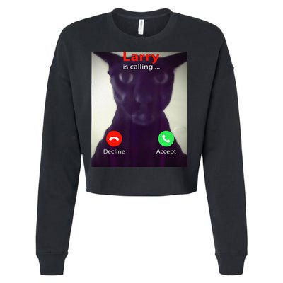 Evil Larry Cat Meme Cat Lover Cat Mom Cat Dad S Cropped Pullover Crew