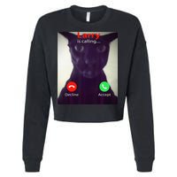 Evil Larry Cat Meme Cat Lover Cat Mom Cat Dad S Cropped Pullover Crew