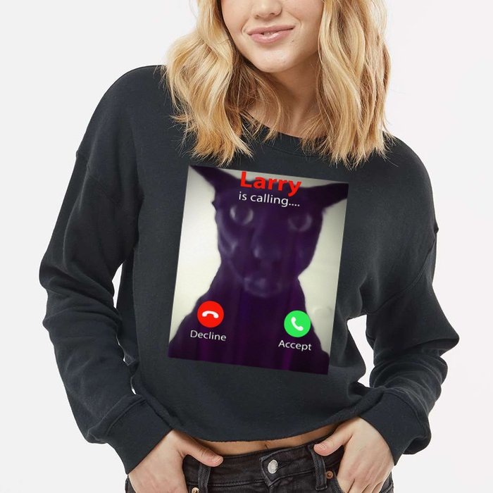 Evil Larry Cat Meme Cat Lover Cat Mom Cat Dad S Cropped Pullover Crew