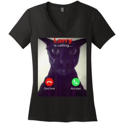 Evil Larry Cat Meme Cat Lover Cat Mom Cat Dad S Women's V-Neck T-Shirt