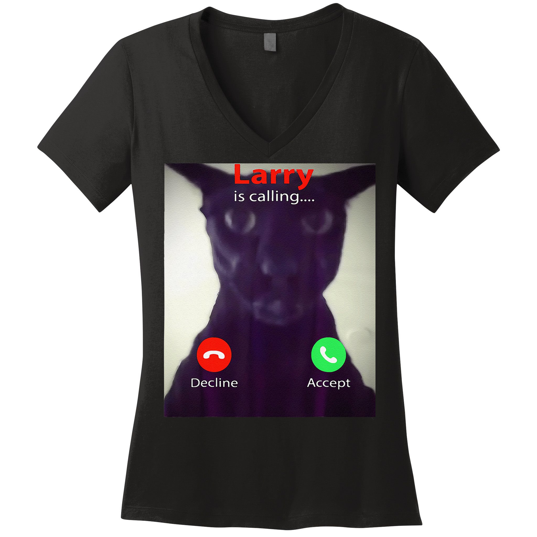Evil Larry Cat Meme Cat Lover Cat Mom Cat Dad S Women's V-Neck T-Shirt