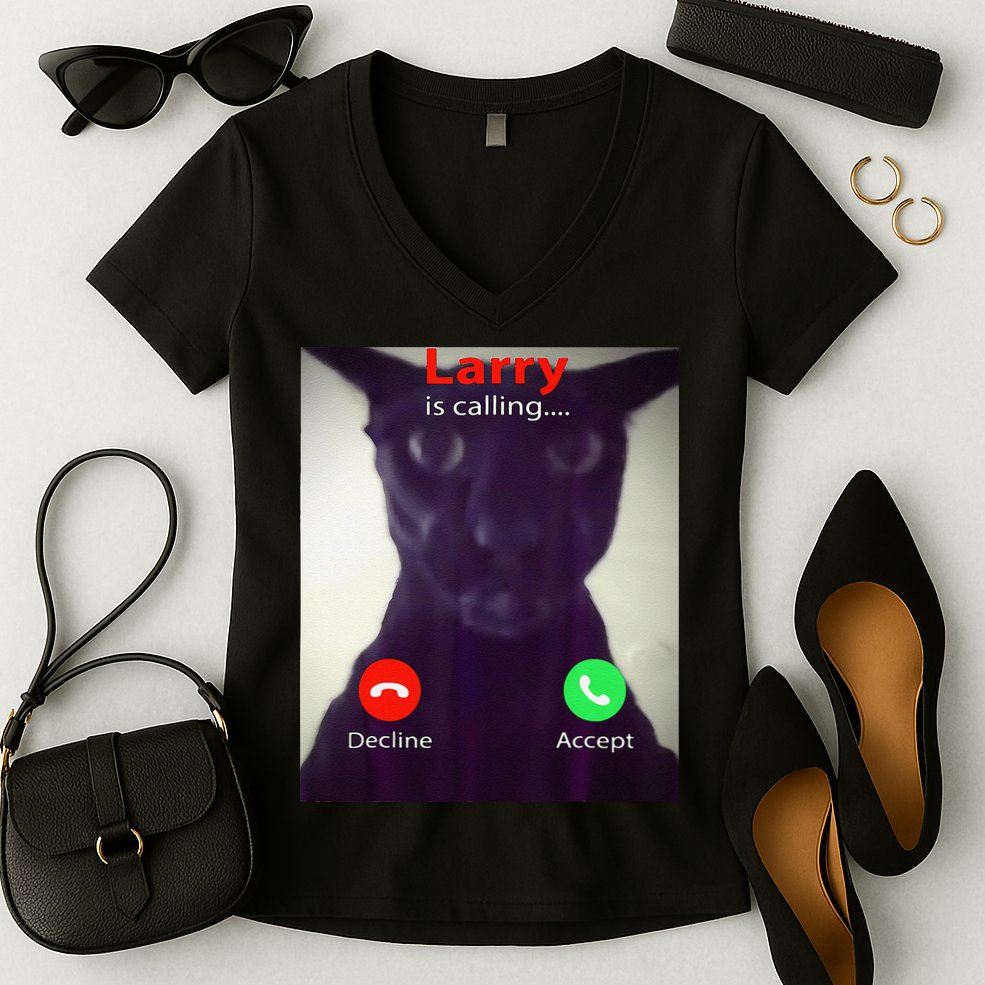 Evil Larry Cat Meme Cat Lover Cat Mom Cat Dad S Women's V-Neck T-Shirt