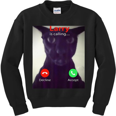 Evil Larry Cat Meme Cat Lover Cat Mom Cat Dad S Kids Sweatshirt