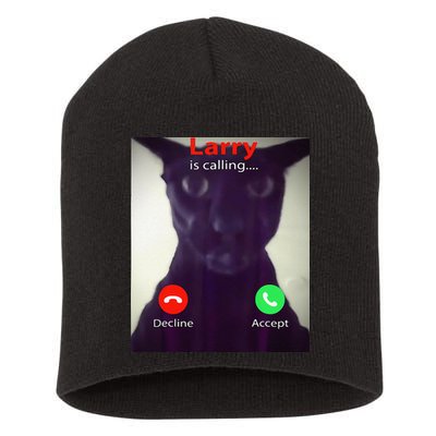 Evil Larry Cat Meme Cat Lover Cat Mom Cat Dad S Short Acrylic Beanie