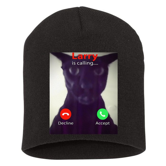 Evil Larry Cat Meme Cat Lover Cat Mom Cat Dad S Short Acrylic Beanie