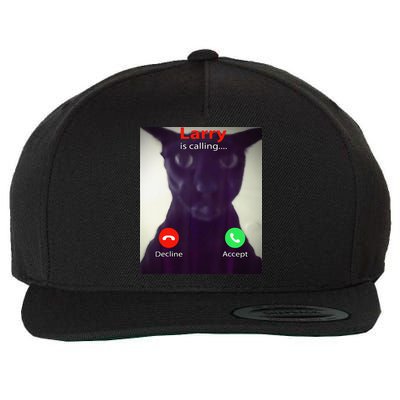 Evil Larry Cat Meme Cat Lover Cat Mom Cat Dad S Wool Snapback Cap