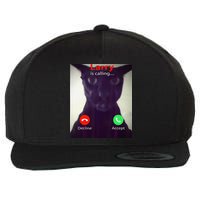 Evil Larry Cat Meme Cat Lover Cat Mom Cat Dad S Wool Snapback Cap