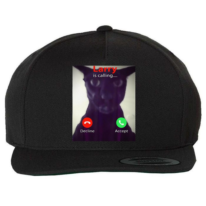 Evil Larry Cat Meme Cat Lover Cat Mom Cat Dad S Wool Snapback Cap