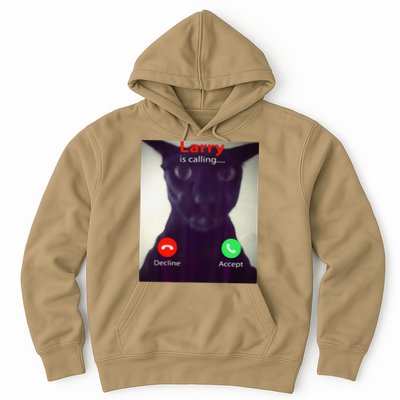 Evil Larry Cat Meme Cat Lover Cat Mom Cat Dad S Hoodie