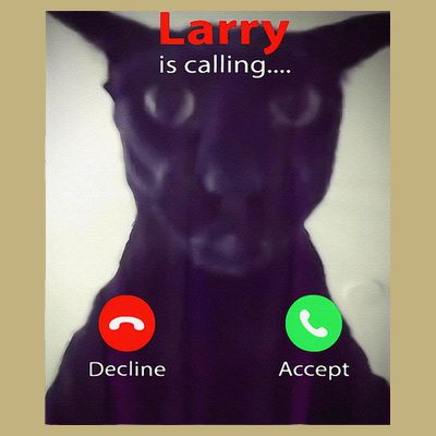 Evil Larry Cat Meme Cat Lover Cat Mom Cat Dad S T-Shirt