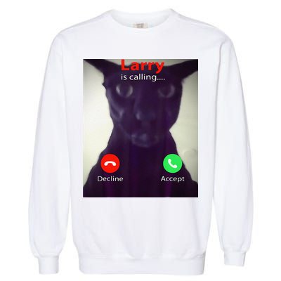 Evil Larry Cat Meme Cat Lover Cat Mom Cat Dad S Garment-Dyed Sweatshirt