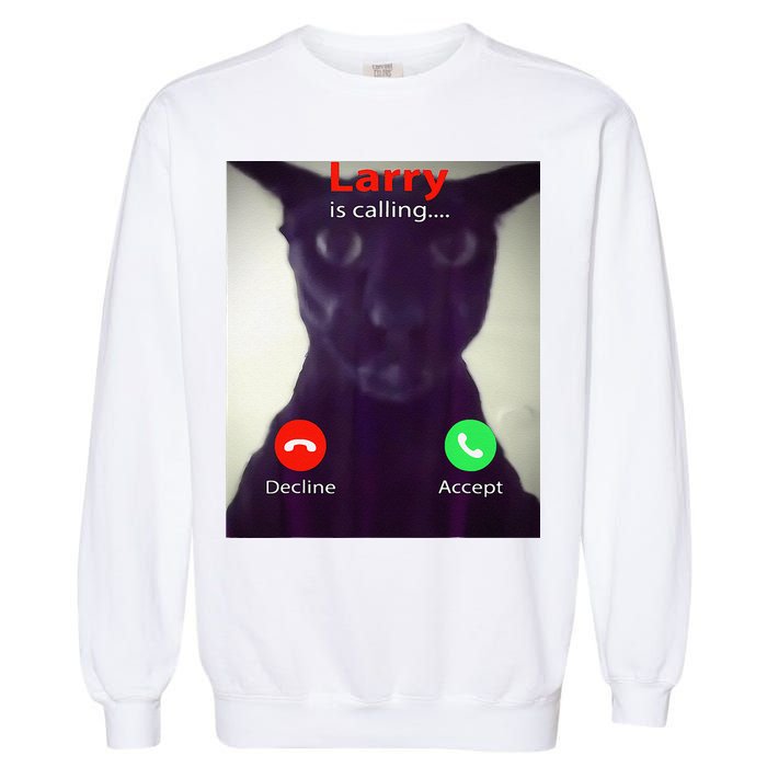 Evil Larry Cat Meme Cat Lover Cat Mom Cat Dad S Garment-Dyed Sweatshirt