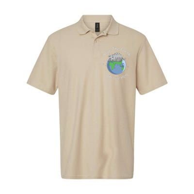 Earth Lovers Earth Day Earth Day Cat Earth Day Softstyle Adult Sport Polo