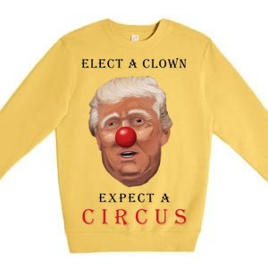 Elect a Clown Expect a Circus Premium Crewneck Sweatshirt