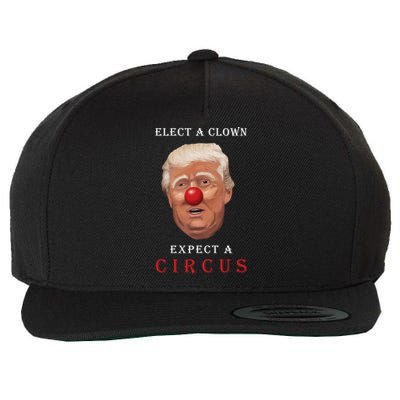 Elect a Clown Expect a Circus Wool Snapback Cap
