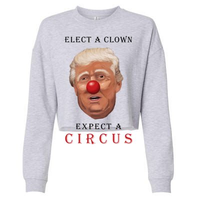 Elect a Clown Expect a Circus Cropped Pullover Crew