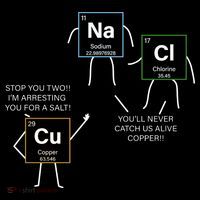 Element Funny Science Puns Magnet