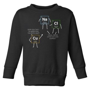 Element Funny Science Puns Toddler Sweatshirt