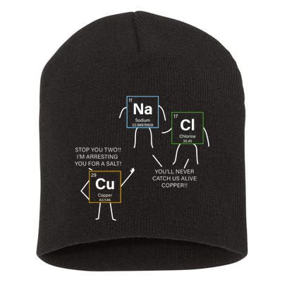 Element Funny Science Puns Short Acrylic Beanie