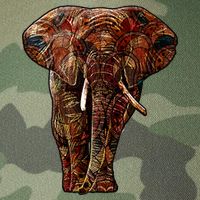 Elephant African Pattern Legacy Tie Dye Trucker Hat