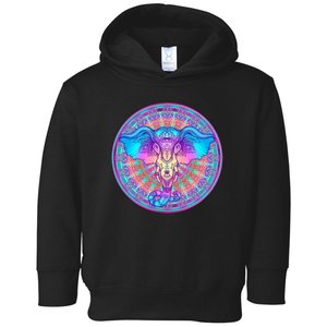 Elephant Mandala Pastel Rainbow Toddler Hoodie