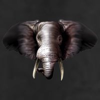 Elephant Tusks Wildlife Cool Comfort Performance Bucket Hat
