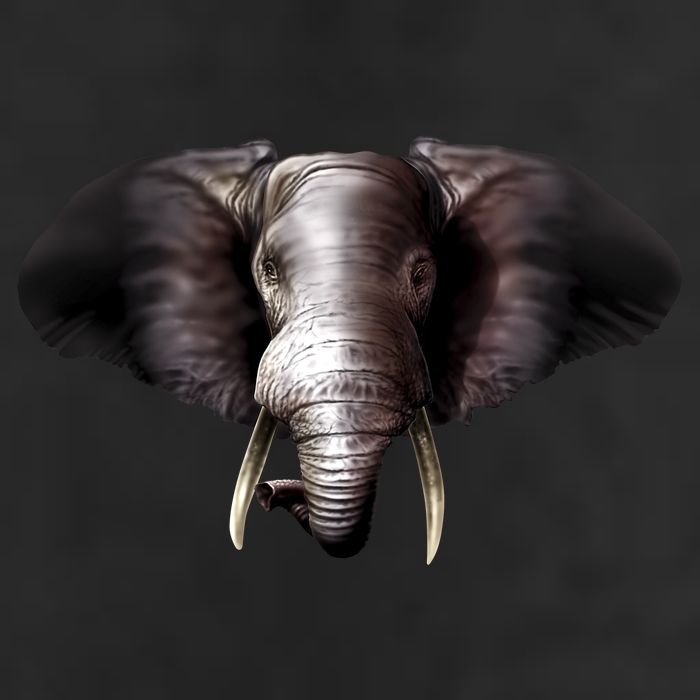 Elephant Tusks Wildlife Cool Comfort Performance Bucket Hat