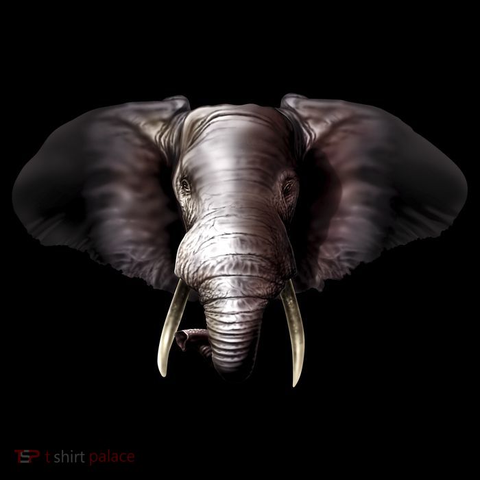 Elephant Tusks Wildlife 16 in Basic Backpack