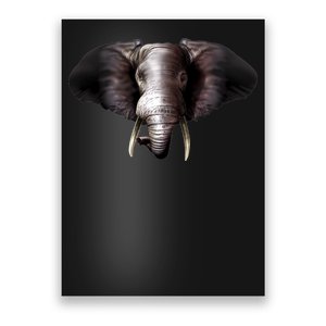 Elephant Tusks Wildlife Poster