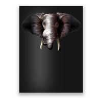 Elephant Tusks Wildlife Poster