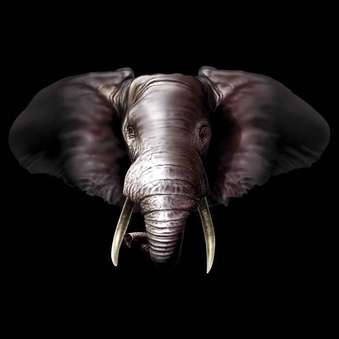 Elephant Tusks Wildlife Tie-Dye T-Shirt