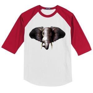 Elephant Tusks Wildlife Kids Colorblock Raglan Jersey