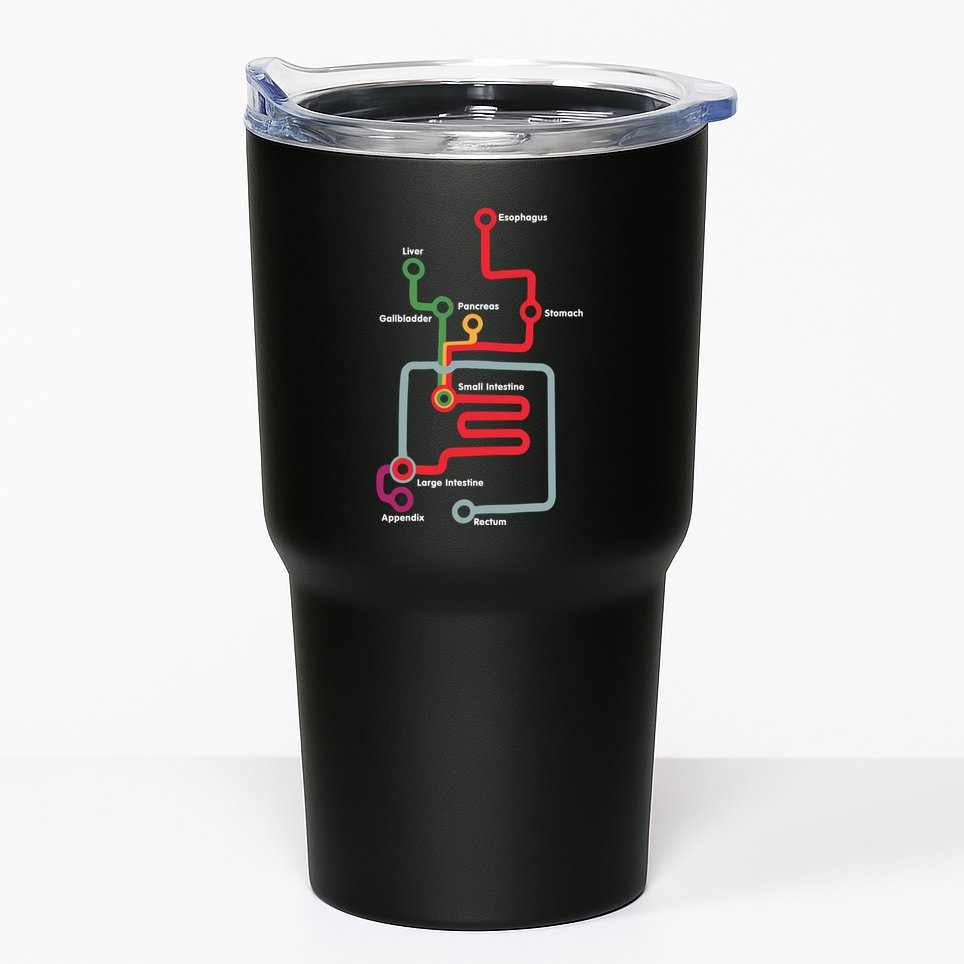 Esophagus Liver Gallbladder Pancreas Stomach Small Intestine Tumbler
