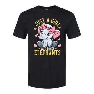 Elephant Lover Gift Just A Who Loves Elephants Softstyle CVC T-Shirt