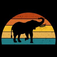 Elephant Lover Retro Sunset 16 in Basic Backpack