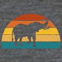 Elephant Lover Retro Sunset T-Shirt