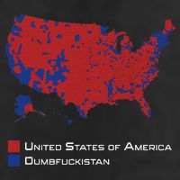 Election Map 2024 United States Of America Dumbfuckistan Beanie