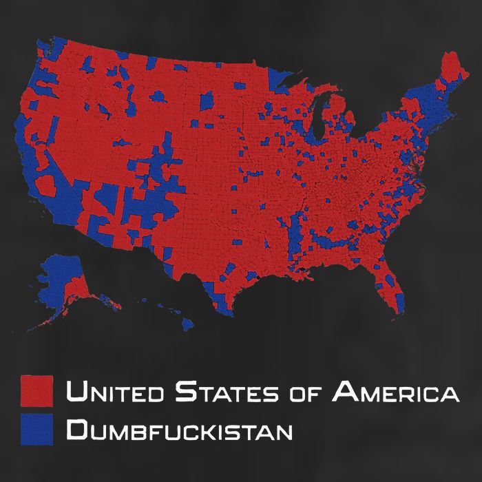 Election Map 2024 United States Of America Dumbfuckistan Beanie