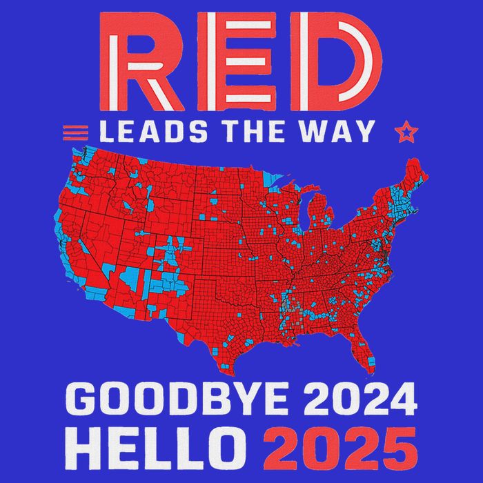 Election Map 2024 Usa Goodbye 2024 Hello 2025 Sustainable Knit Beanie