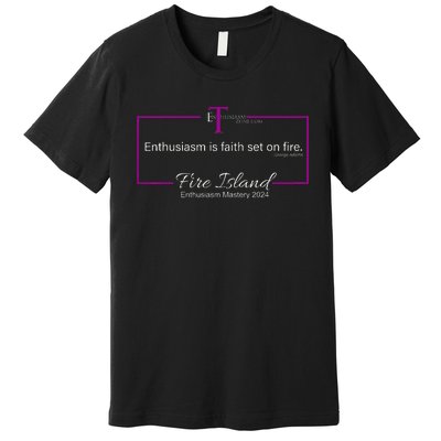 Enthusiasm Mastery 2024 Premium T-Shirt