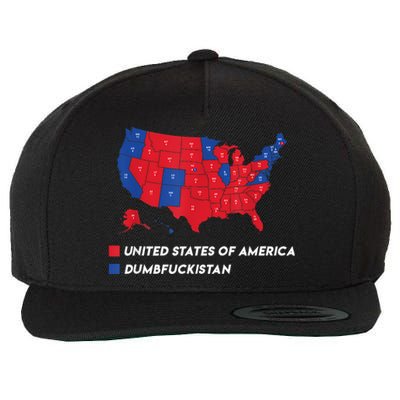 Election Map 2024 United States Of America Dumbfuckistan Wool Snapback Cap