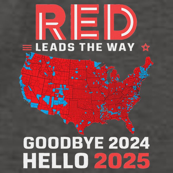 Election Map 2024 Usa Goodbye 2024 Hello 2025 New Year 2025 Vector Backpack