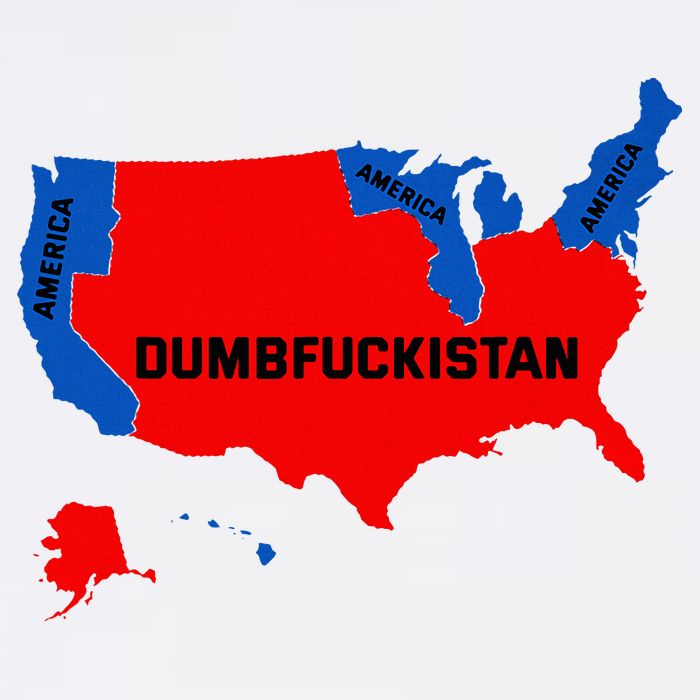 Election Map 2024 United States Of America Dumbfuckistan Long Sleeve Shirt