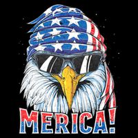 Eagle Merica 4th Of July Merica American Pom Pom 12in Knit Beanie