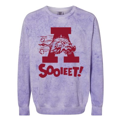 Eric Musselman ArKansas Sooieet Lightweight Colorblast Crewneck Sweatshirt