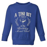 Espresso Martini Birthday A Tini Bit Older A Tiny Bit Older Toddler Sweatshirt
