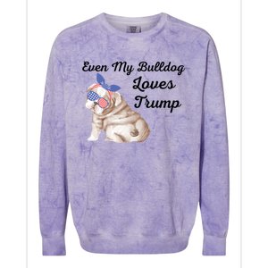 Even My Bulldog Dog Loves Trump The Felon 2024 Us Election Cute Gift Colorblast Crewneck Sweatshirt